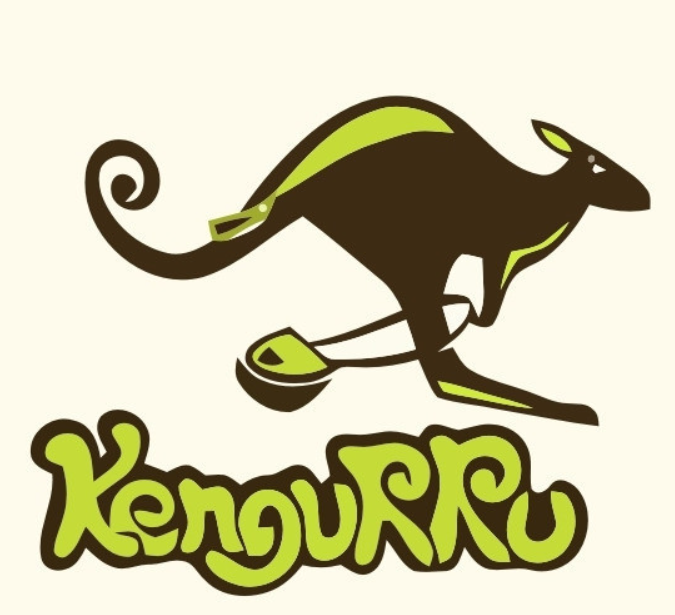 袋鼠加速器 Logo